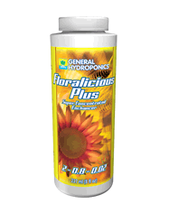 gh Floralicious Plus