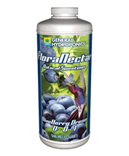 gh Flora nectar Blueberry
