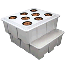 CAP DWC-aeroponic-600